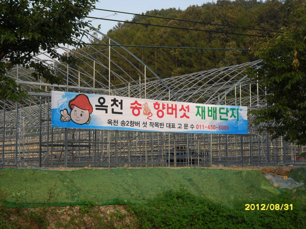 예쁜현수막 이미지