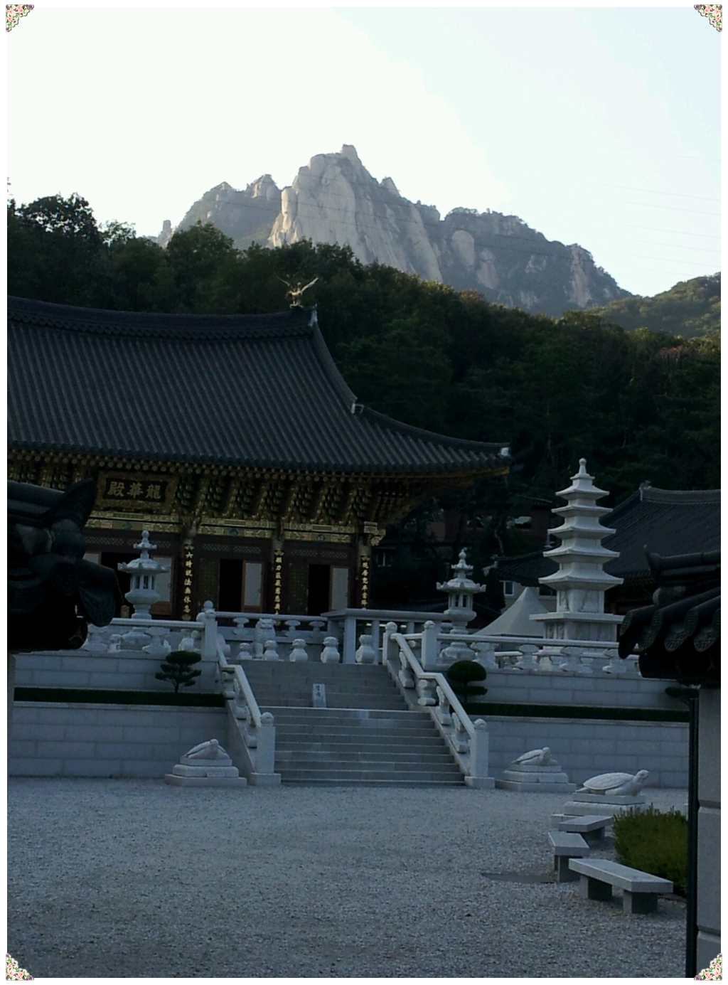 (사)한국대승불교조계종 이미지