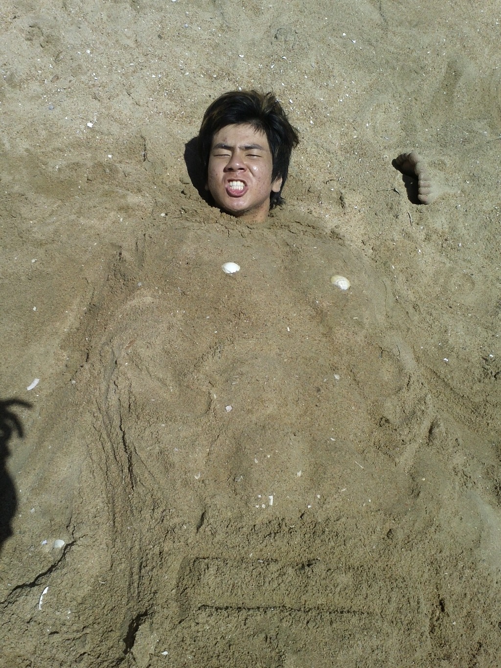 짱태 이미지