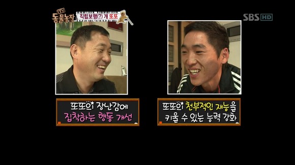 [동물농장] 지팡이 짚고 걷는 심봉사 개 또또라오 | 인스티즈