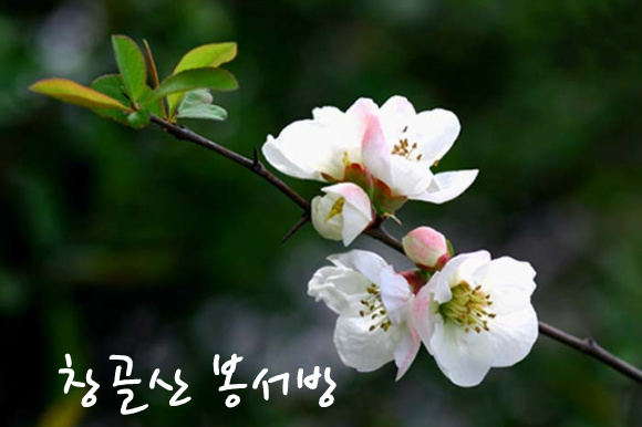 소모는막대기 이미지