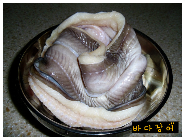 낙지랑장어랑 이미지
