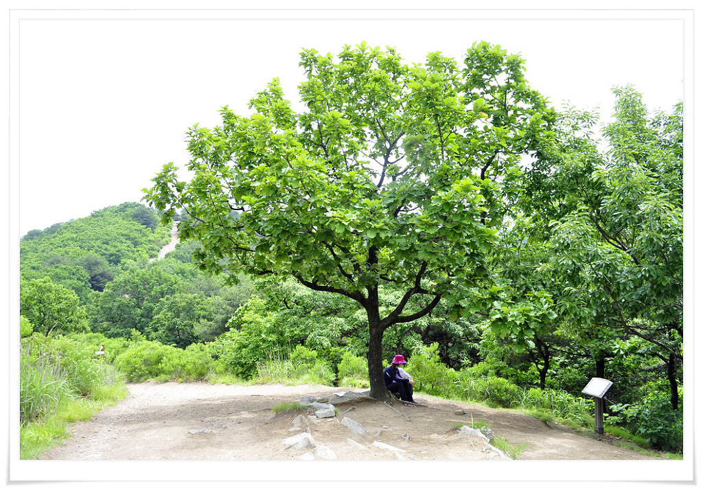 앞산공원 이미지