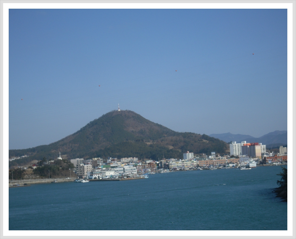 착한돼지감자 이미지