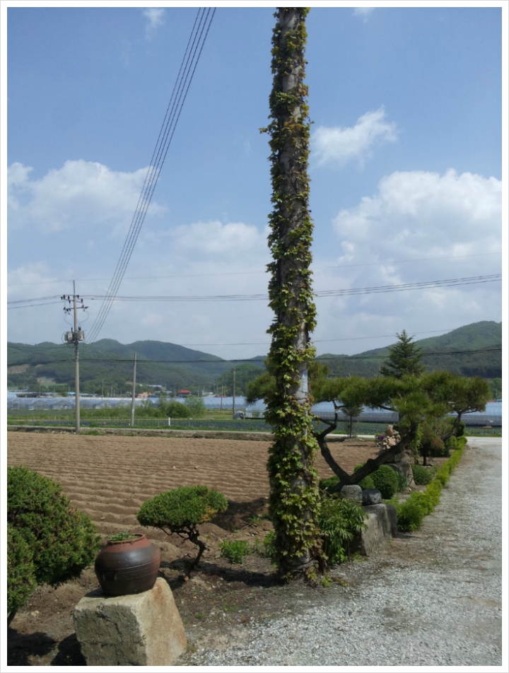 둔내농장 이미지