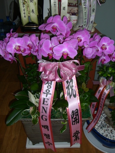 성우ENG 이미지