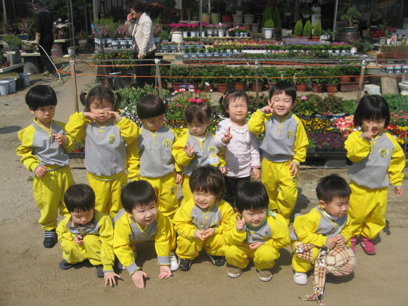 샛별화원 이미지