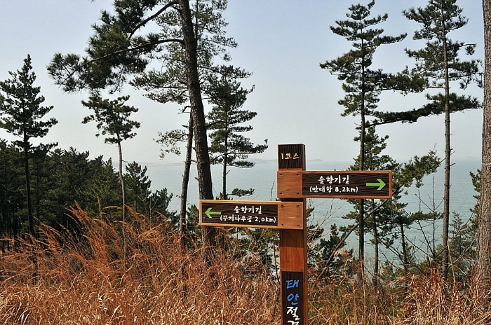 솔향기환경 이미지