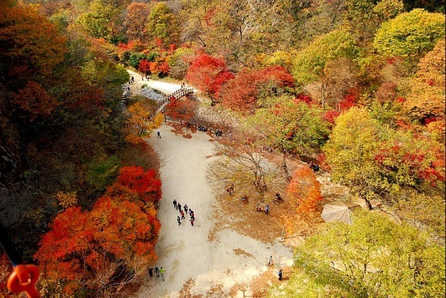 (주)로얄고속관광 이미지