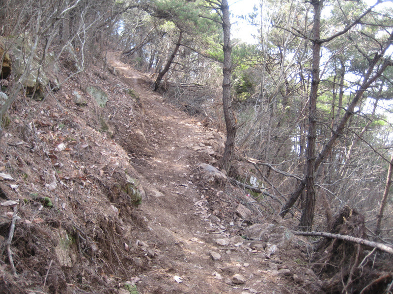 창원MTB 이미지