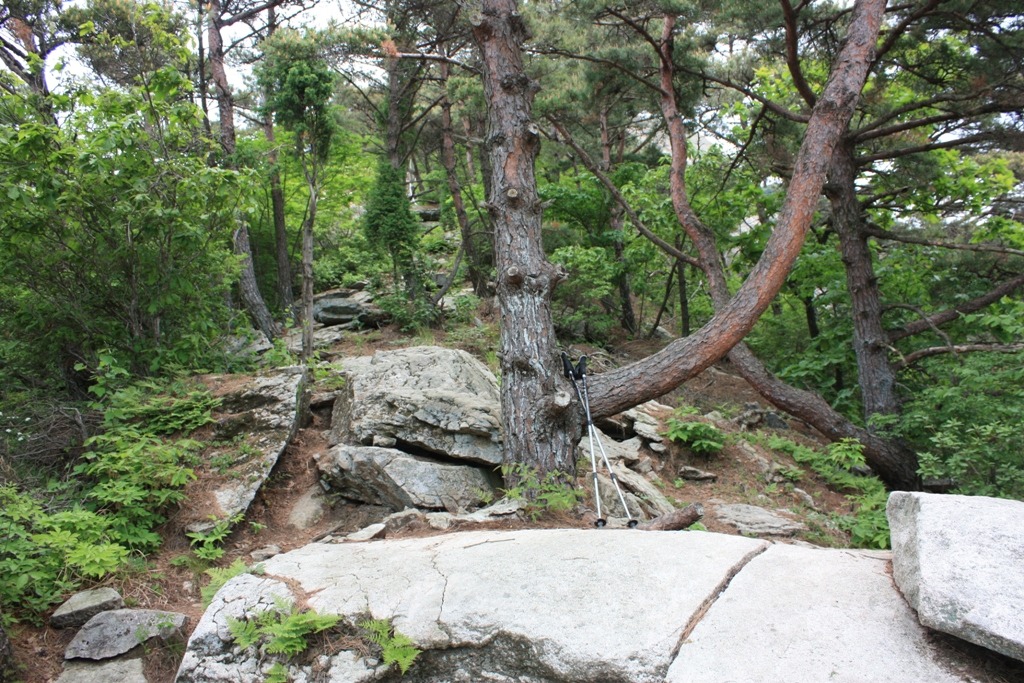 용주상사 이미지