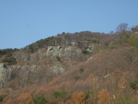 억세 군락지 이미지