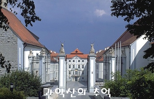 릴라잉글리쉬 이미지
