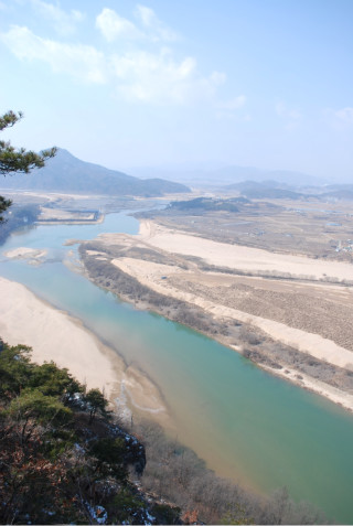 낙동강오리알 이미지