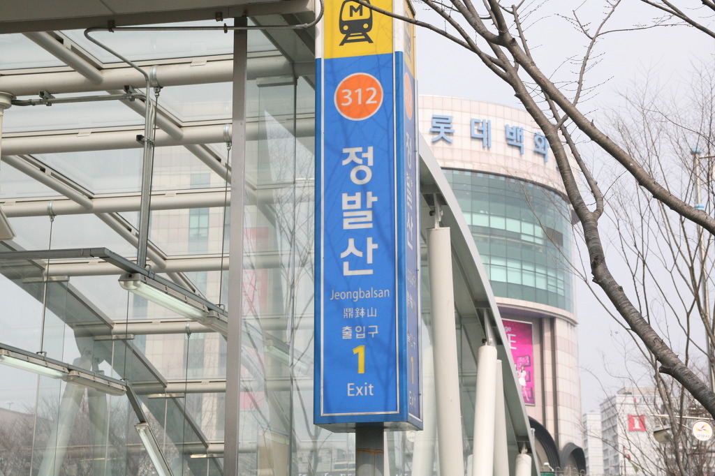 윙윙댄스스포츠 이미지