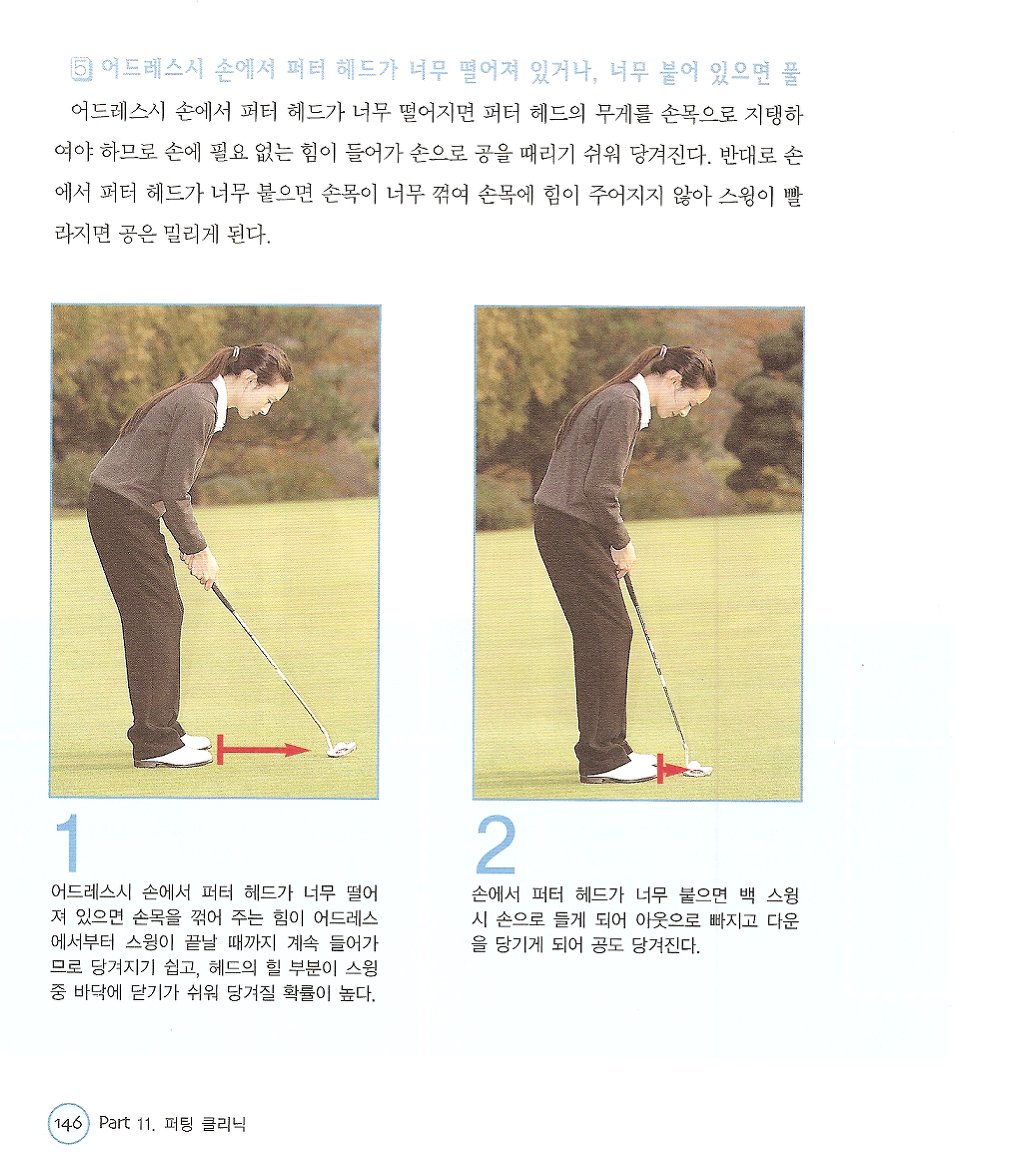 스시풀 이미지