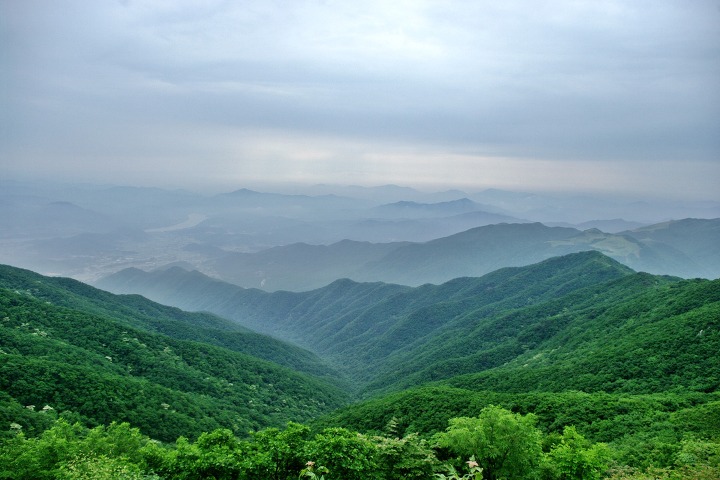 용문산 이미지