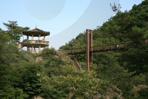 금성여행사 이미지