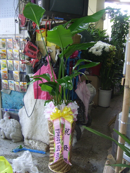 유가네정육식당 이미지