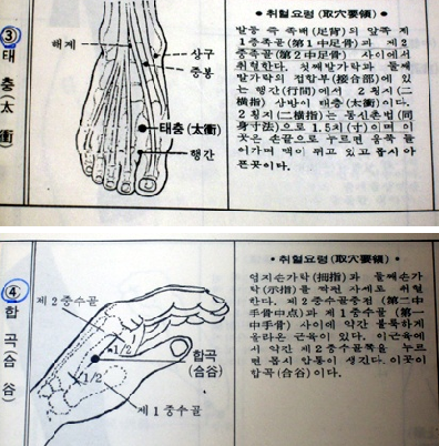 족삼리 이미지