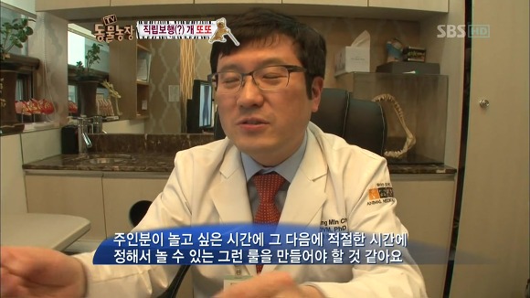 [동물농장] 지팡이 짚고 걷는 심봉사 개 또또라오 | 인스티즈