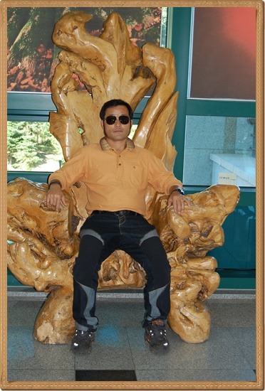일박이일 이미지