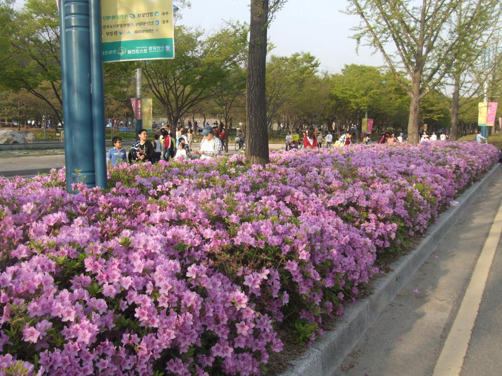 성대초등학교 이미지