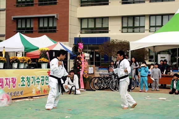 용인대체육관 이미지