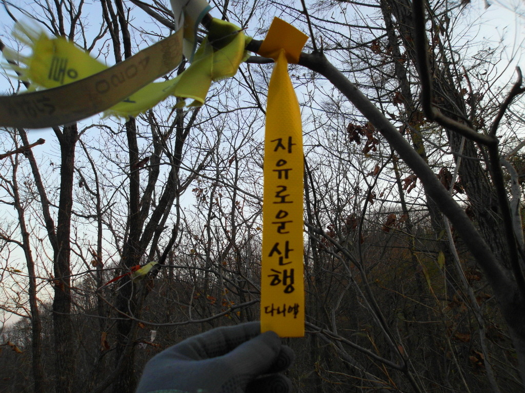 금남정맥 이미지