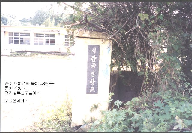 시량초등학교 이미지