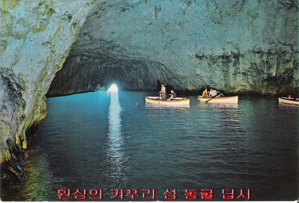 셀라컴퓨터 이미지