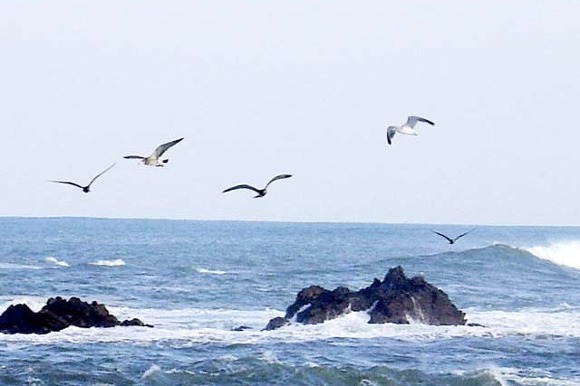늘푸른바다 이미지