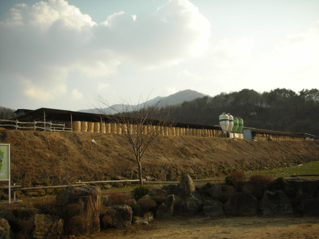 대성축산 이미지