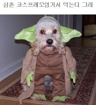 엄마밥도 이미지