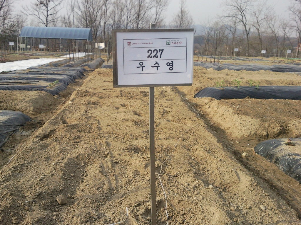고려대학교 덕소농장 이미지
