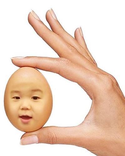 비비어 이미지