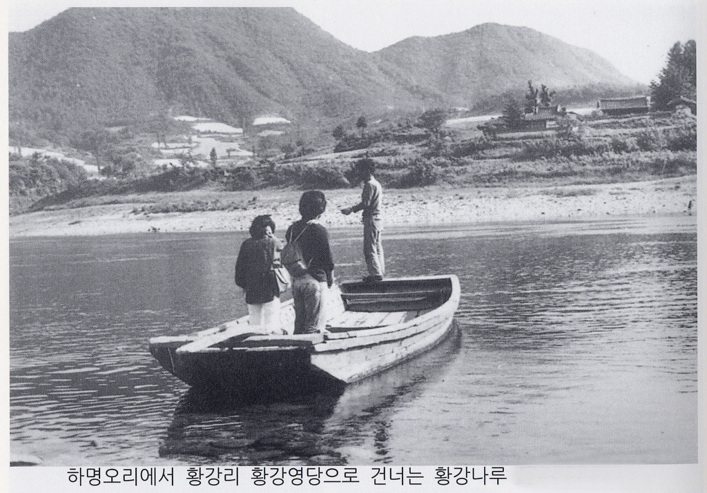 청풍오리 이미지