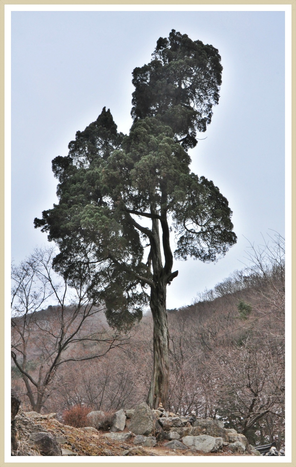 창희 이미지
