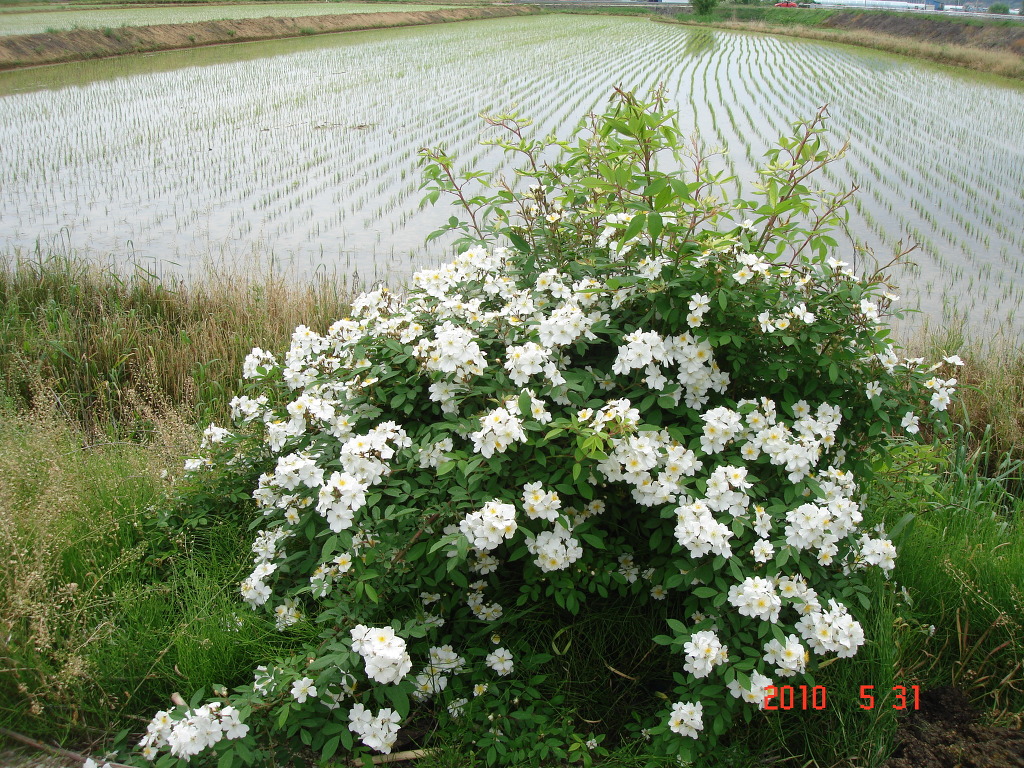 덕산방 이미지