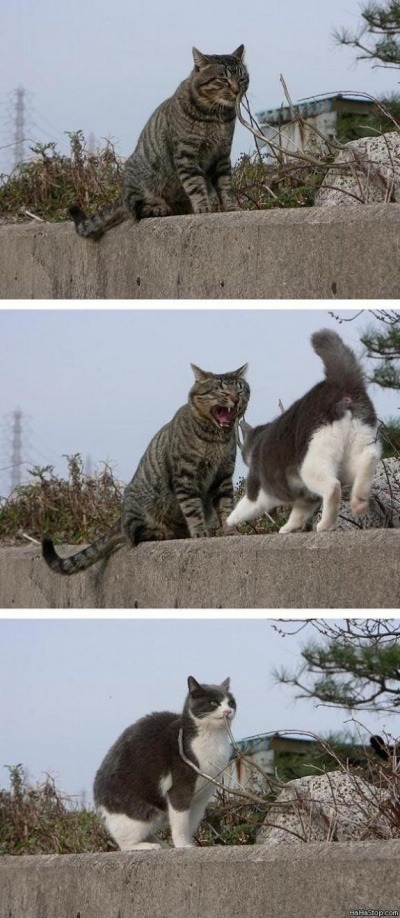 짐 이미지