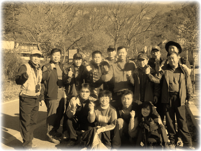 백화산양산삼조합 이미지