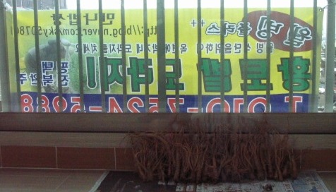 나씨쇼핑몰 이미지