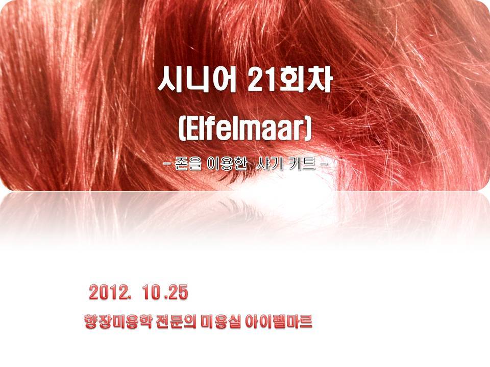 레이어21 이미지