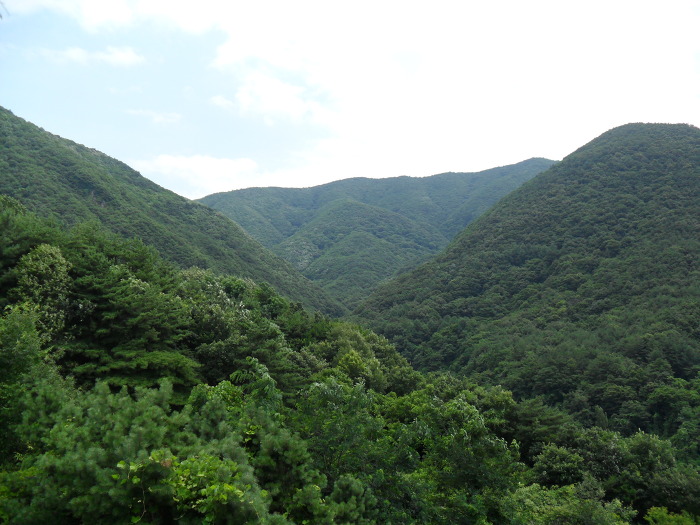 강산 이미지