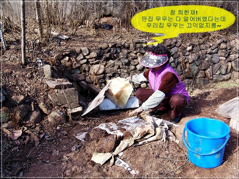 시골냉장고 이미지