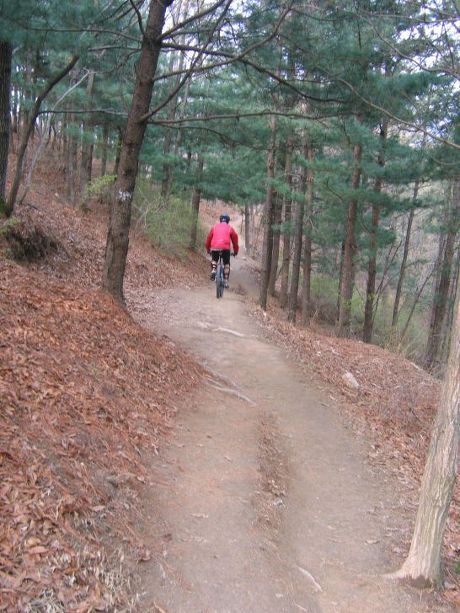 라이딩매니아 이미지