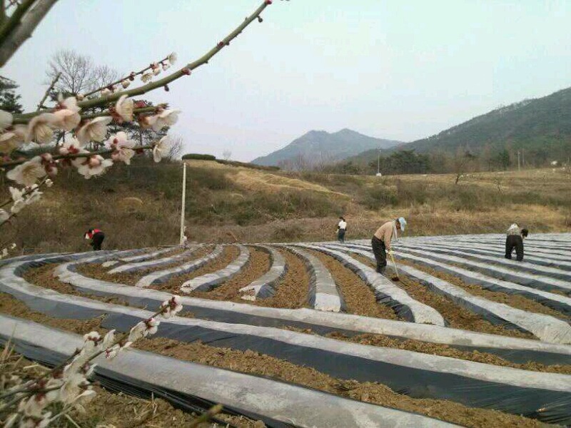 곡성버섯농장 이미지