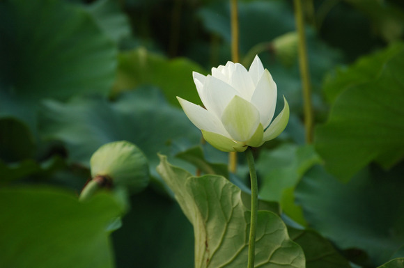 똥그라미 이미지