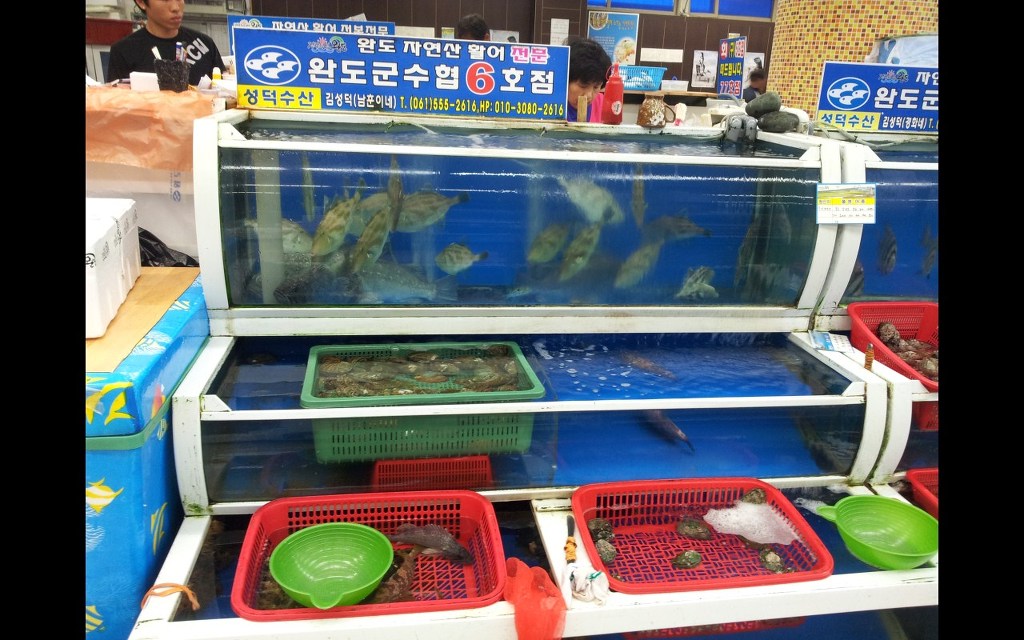 성덕수산 이미지
