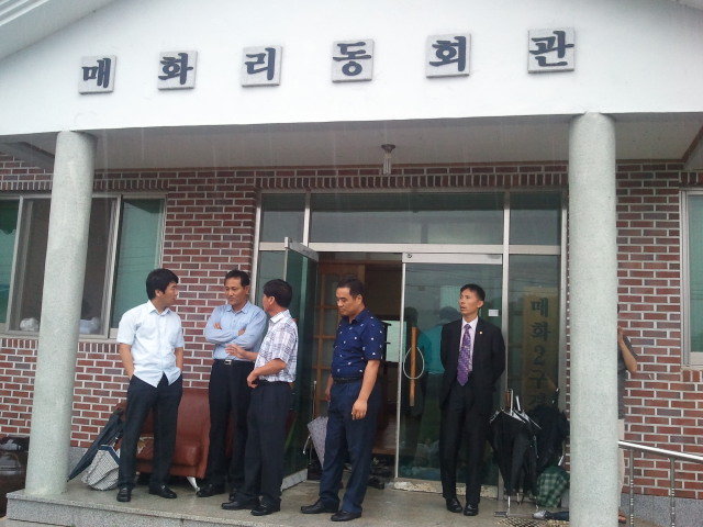대붕 이미지